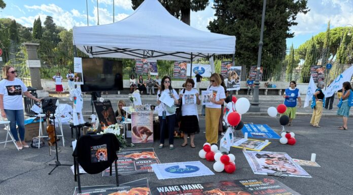 Grido globale per leggi severissime contro la tortura animale: anche l’Italia scende in piazza
