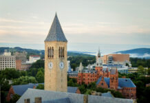 Cornell University: quanto costa denunciare e quanto costa essere accusati?